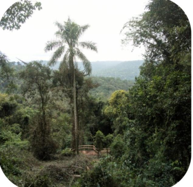 Yasí Yateré Reserva Agroecológica El Soberbio Exterior foto